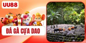 Đá Gà Cựa Dao